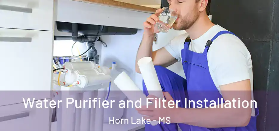 Water Purifier and Filter Installation Horn Lake - MS