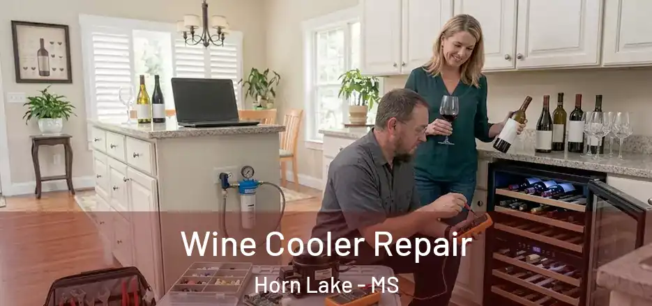 Wine Cooler Repair Horn Lake - MS